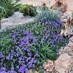 Vila Impetrata Iun Q7090